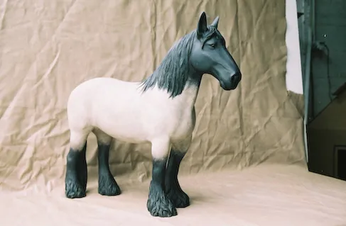 50 cm Mus e du Baudet du Poitou 3 fi11122354